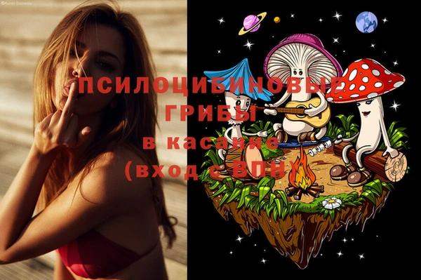 ПСИЛОЦИБИНОВЫЕ ГРИБЫ Нея