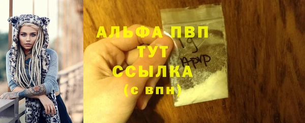 apvp Новозыбков