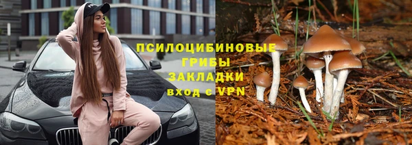 скорость Новокубанск