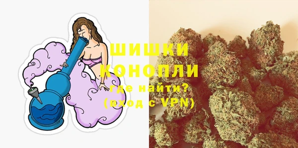 apvp Новозыбков