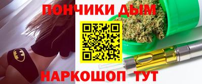 apvp Гатчина