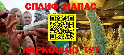 apvp Гатчина