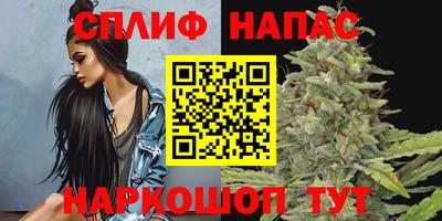 бошки Гай
