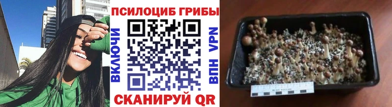 Псилоцибиновые грибы прущие грибы Лангепас